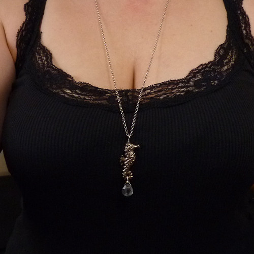 Zasněný mořský koník..amulet