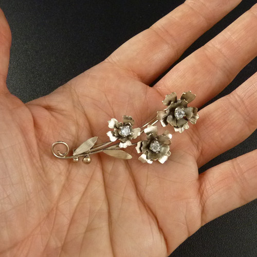 Francouzské chrpy..brož